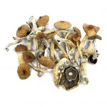 Купить Blue Meanies 3.5 грамм